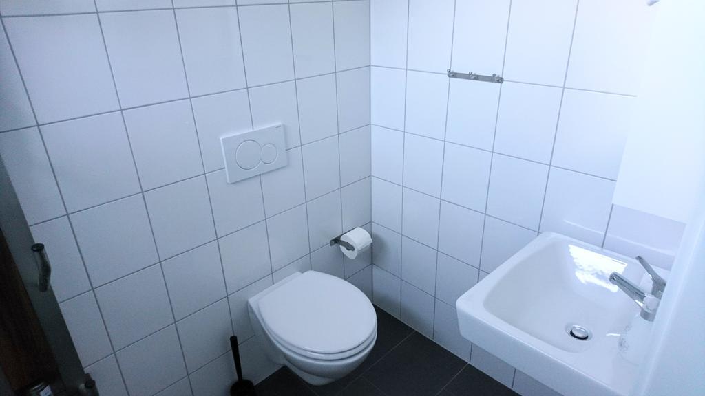 Chalet Taube バードガシュタイン エクステリア 写真